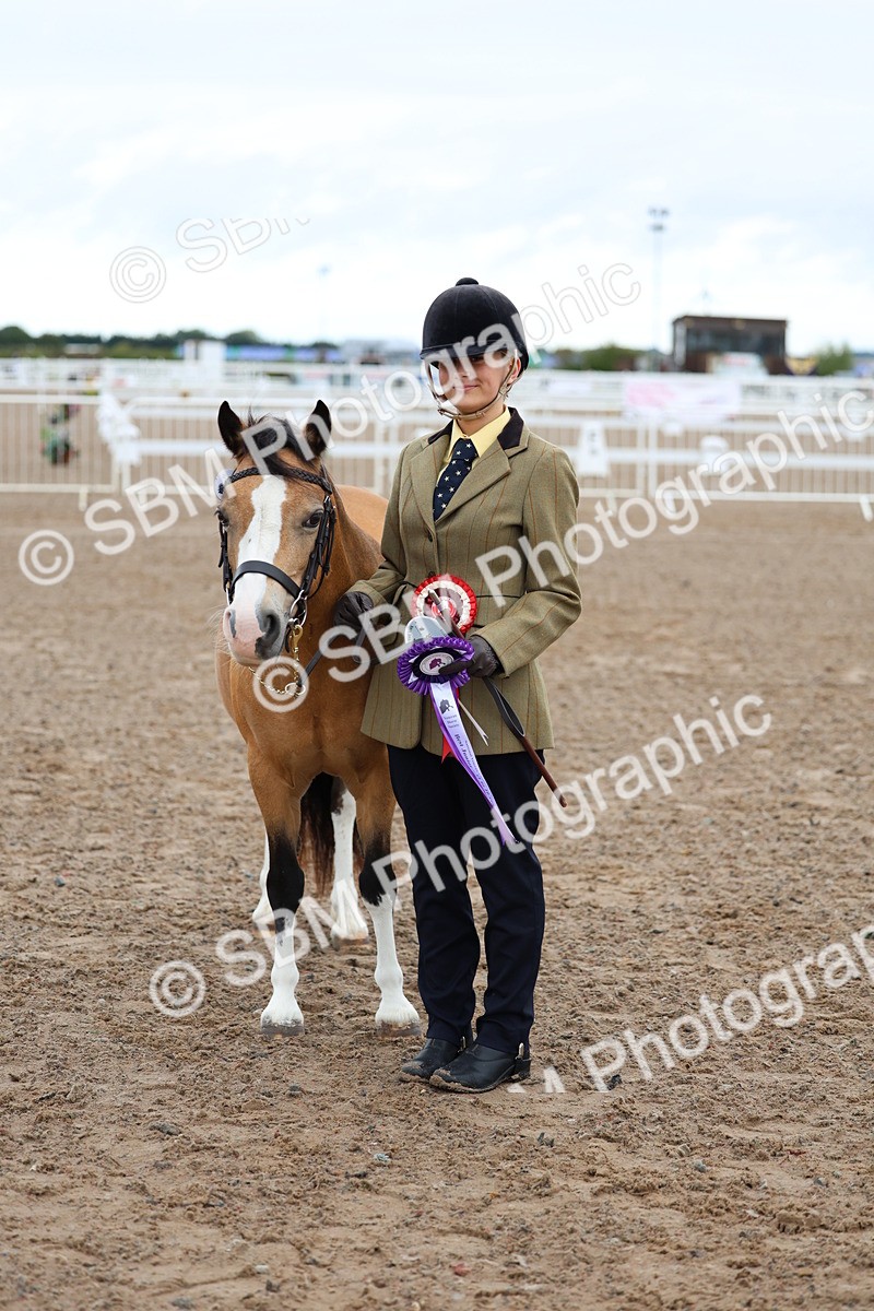 SBM_00266 - Class 13 - Young Handler