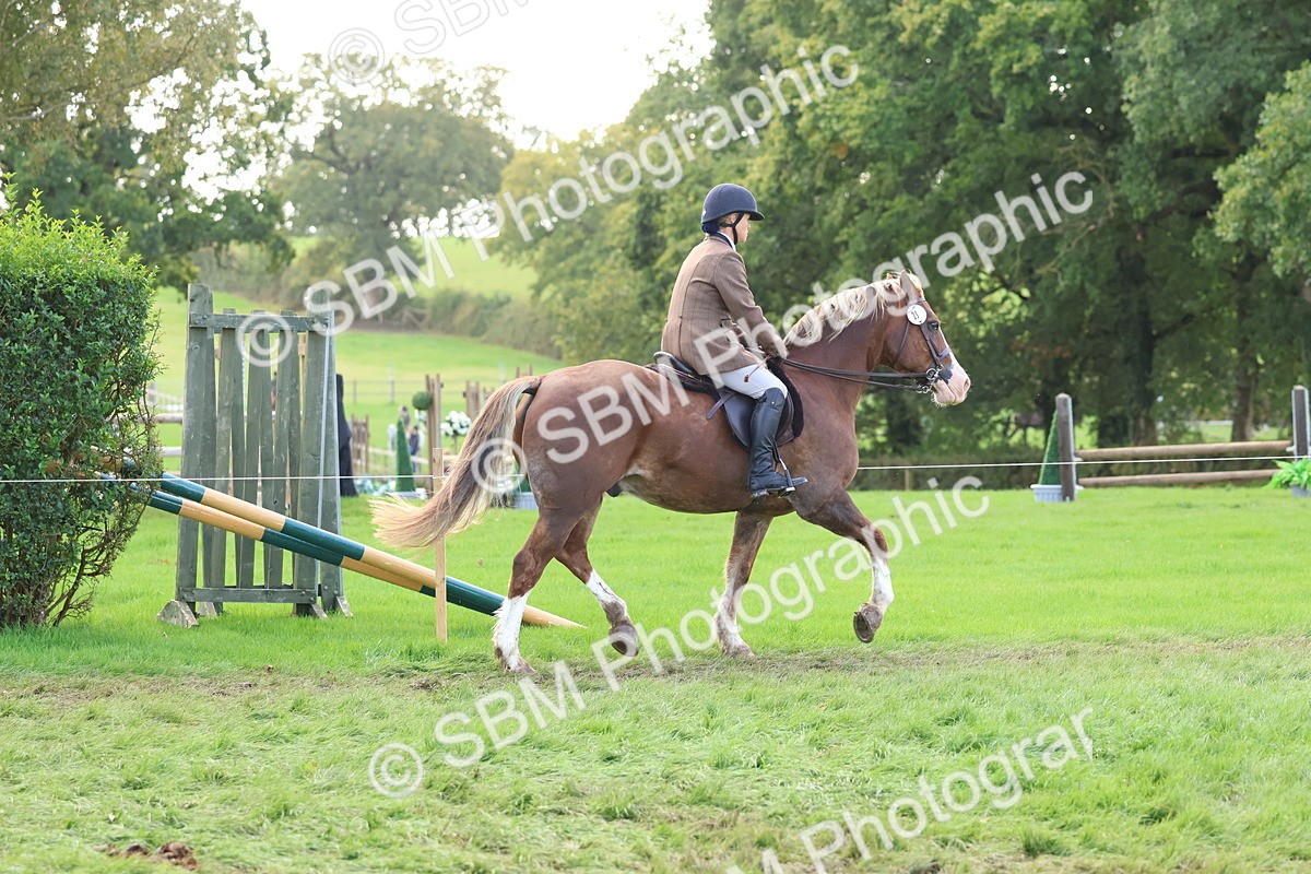 SBM_47614 - S28 - Veteran Ridden