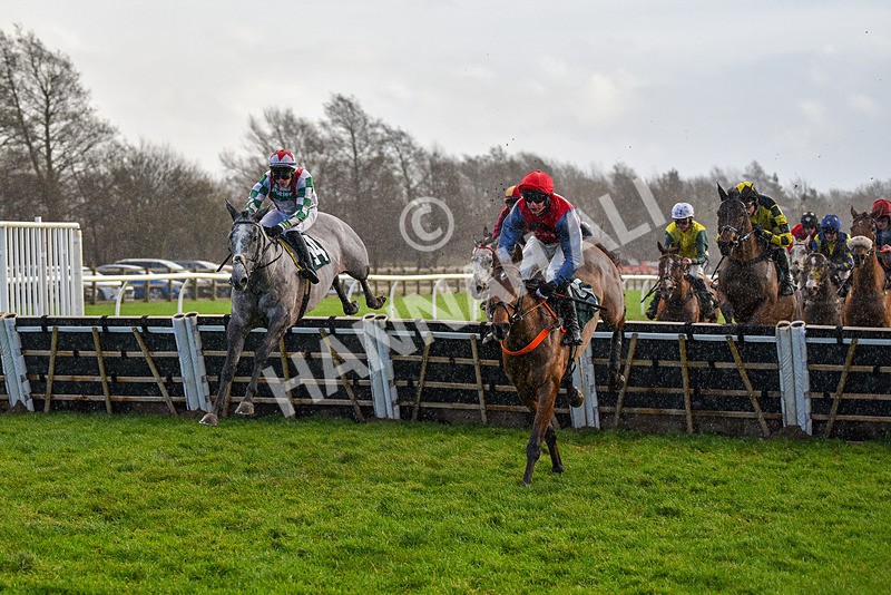 281223-Race 4-Lavida Adiva-2-4 - Race 4