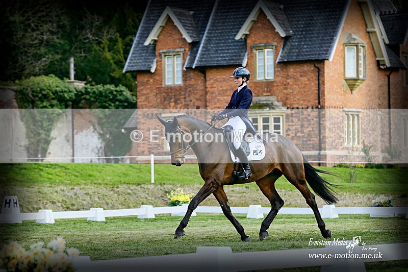 BE 010422  462a - Equestrian