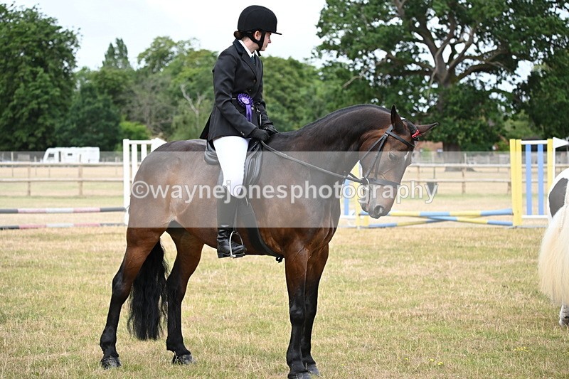 WJ6_4044 - Class 9 Tack & Turnout