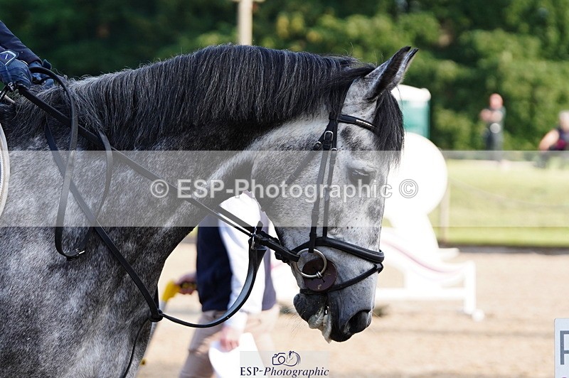 250615A-075810-09513 - Class 42 85cm Amateur Qualifer
