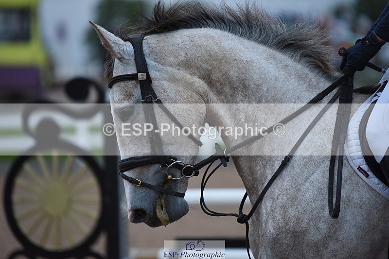 230718A-204346-00953 - 1m