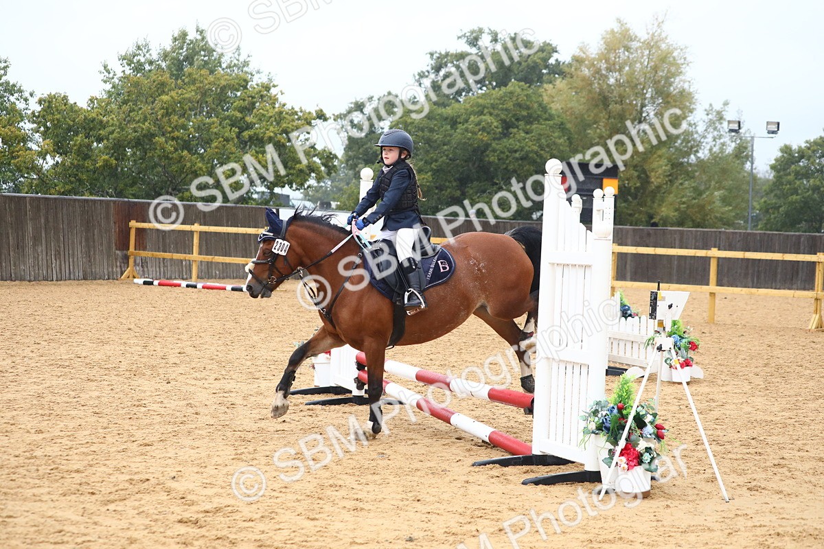 SBM_71639 - J4 - Mini Tour Junior Pony 45cm Championship