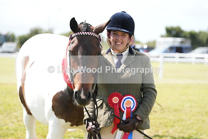 DSC07234 - Coloured Horse In Hand Championship