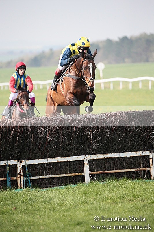 PtP 210418 414 - South & West Wilts Point-to-Point Larkhill 21/04/18