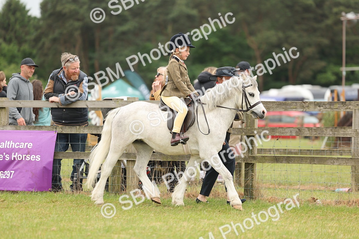 SBM_06739 - Class 74-75 - M&M Lead Rein and First Ridden Pony