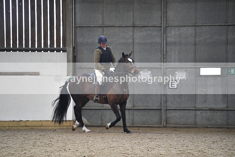 WJ5_7967 - Class 13 Ridden Part Breed