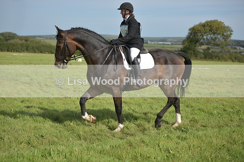 RAY_7972 - Class 2B: Trekenning Open: Dressage