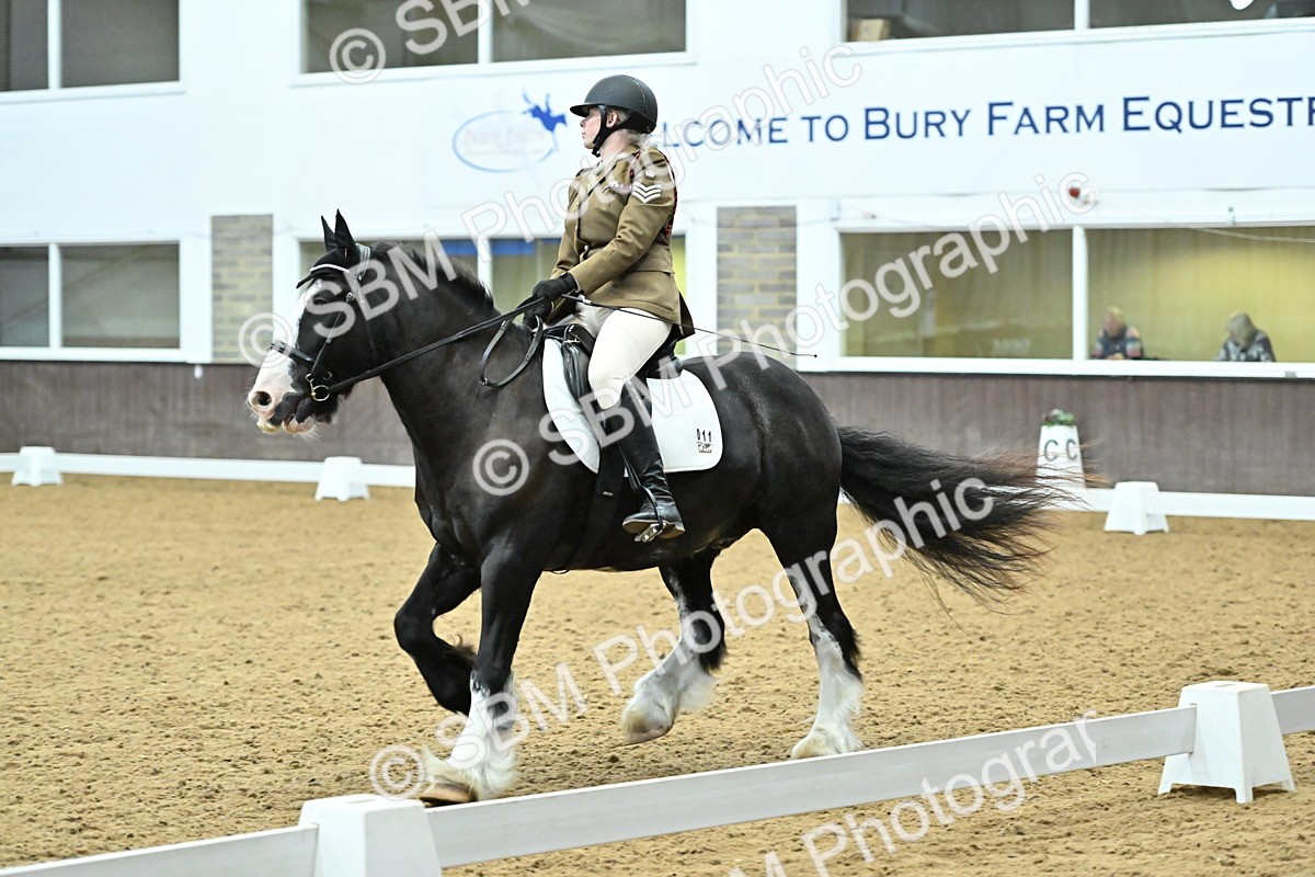 SBM_007459 - Class 81 - Novice 3