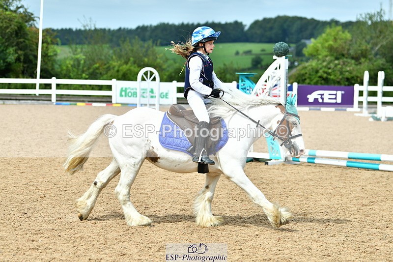 230804A-112149-02228 - Showjumping Competition