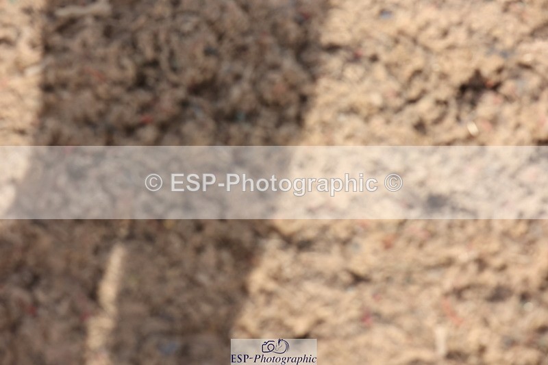 240629A-091927-02915 - Cls 16 British Novice and 80cm Open