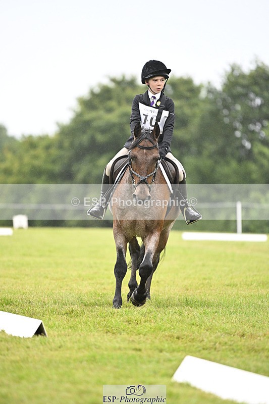 240824X-092514-21272 - D70 Section A and B 8.30 to 9.30