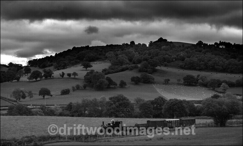 WLLR near Cyfronydd Station - The Welshpool & Llanfair Light Railway