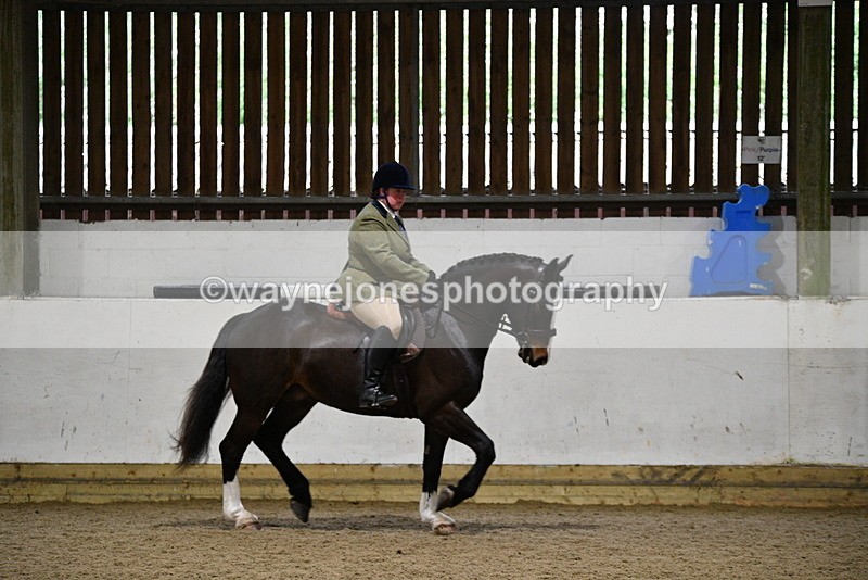 WJ5_8271 - Class 14 Novice Ridden/Rider