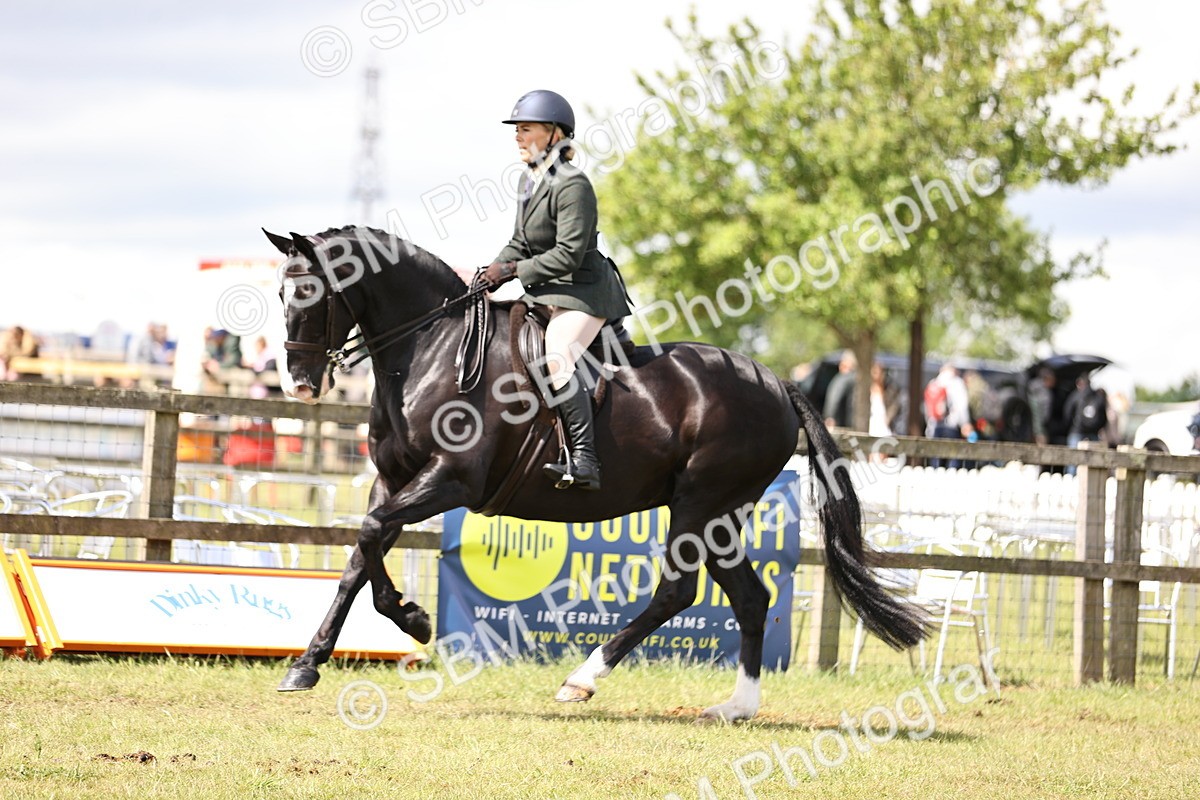 SBM_14553 - Class 88-89 - LIHS BSHA Rising Star of Ridden Hunter Type