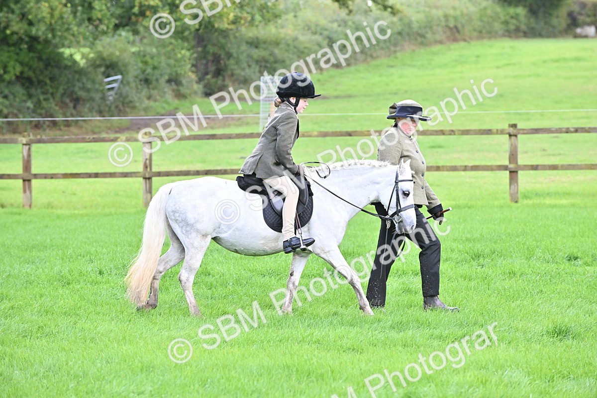 SBM_38319 - S19 - Lead Rein Show & Show Hunter Pony
