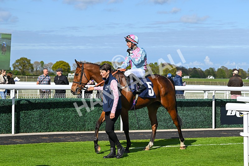 240425-Race 6-Alfie Boy-1690 - Race 6