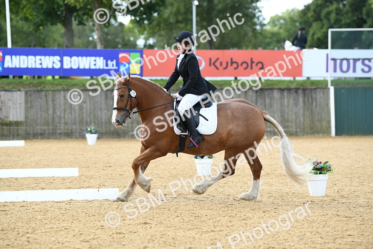 SBM_03108 - D7 Small Tour Championship Prelim 1