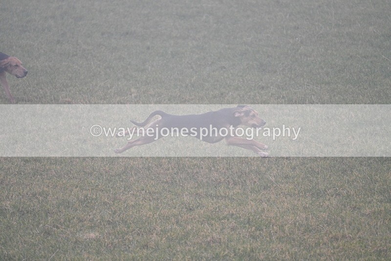 WJ7_3142 - A camera