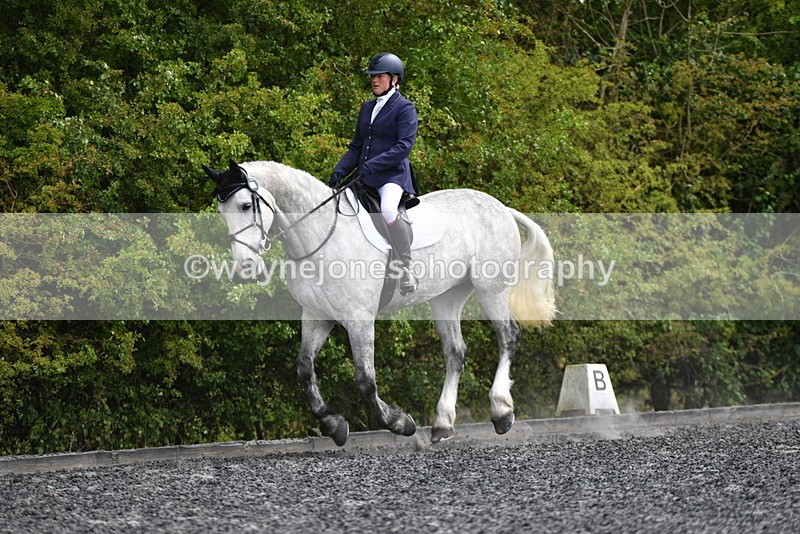 WJ5_2013 - Time 15:05 to 15:30