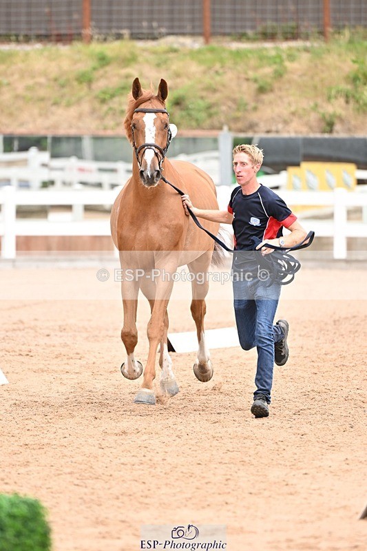 250716-144023-01286 - Trot Up 2.30 to 3.30