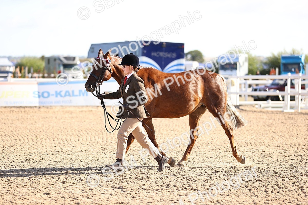 SBM_08509 - Class 402 - IH Veteran Pony