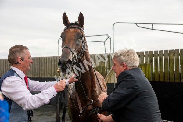 220824-Race 4-Content-1177 - Race 4 3.35pm Pertemps Network Yorkshire Oaks