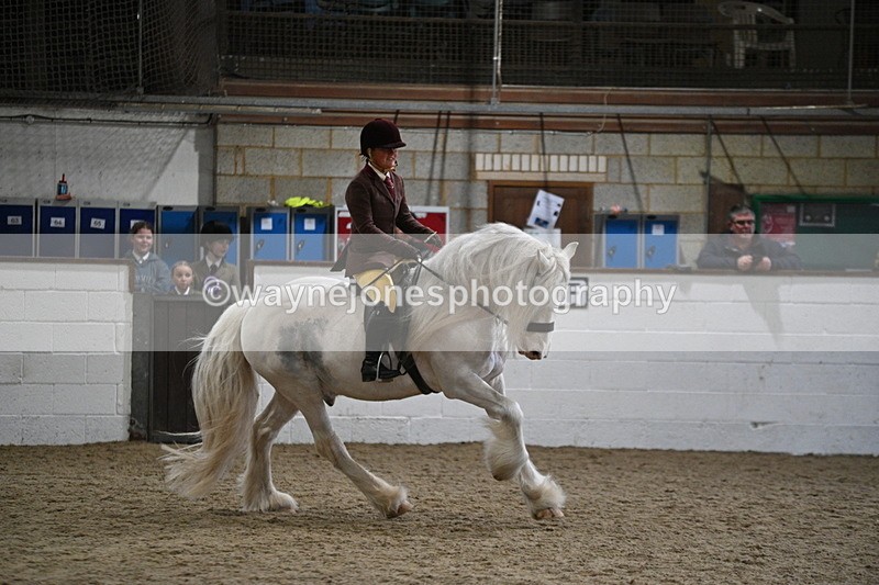 WJ7_4216 - Class 17 Ridden Cob