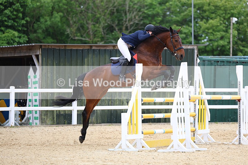 3E7A9685 - Class 9: Senior Foxhunter/1.20 open