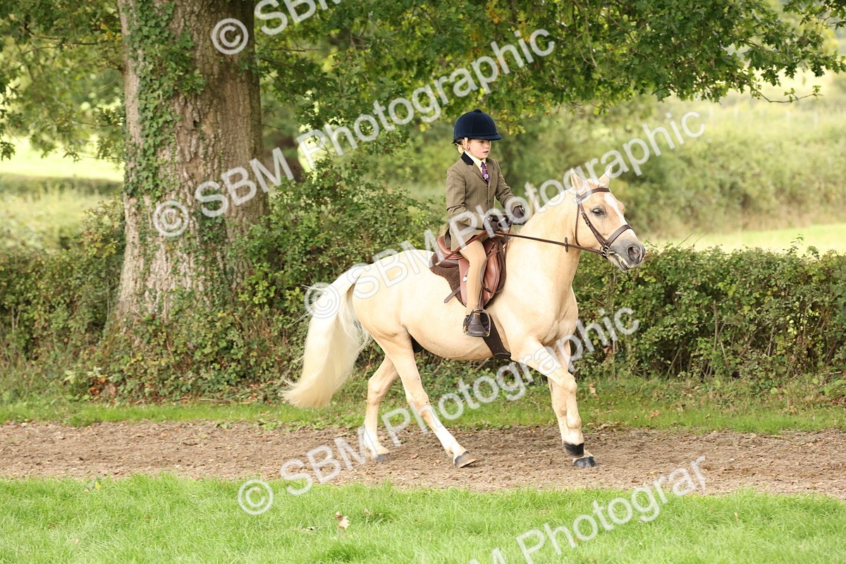 SBM_63001 - S64 - Foreign Breeds Ridden