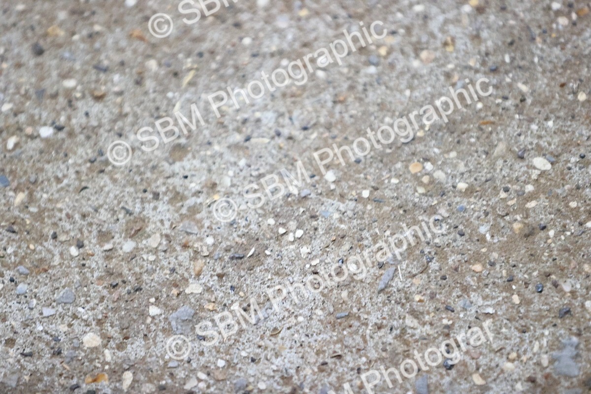 SBM_002655 - Class 16-23 - AM5-FEI GP