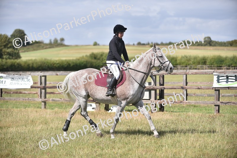 20260906-2705 - Class 13 - Working Hunter Horse or Pony