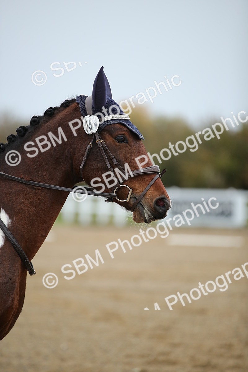 SBM_000362 - Intro 2