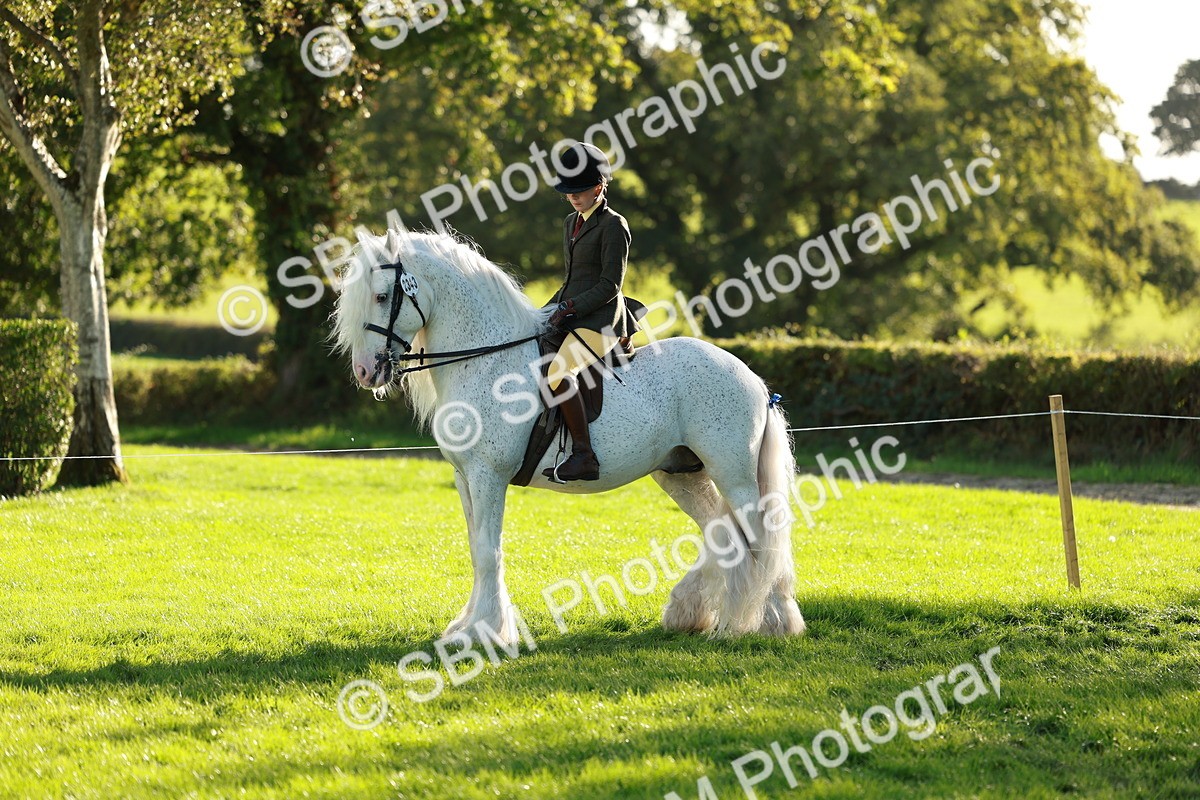 SBM_28767 - S7 - Novice & Newcomer Ridden Pony