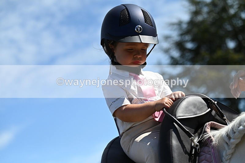 WJ7_1259 - Class 41 Prettiest Mare