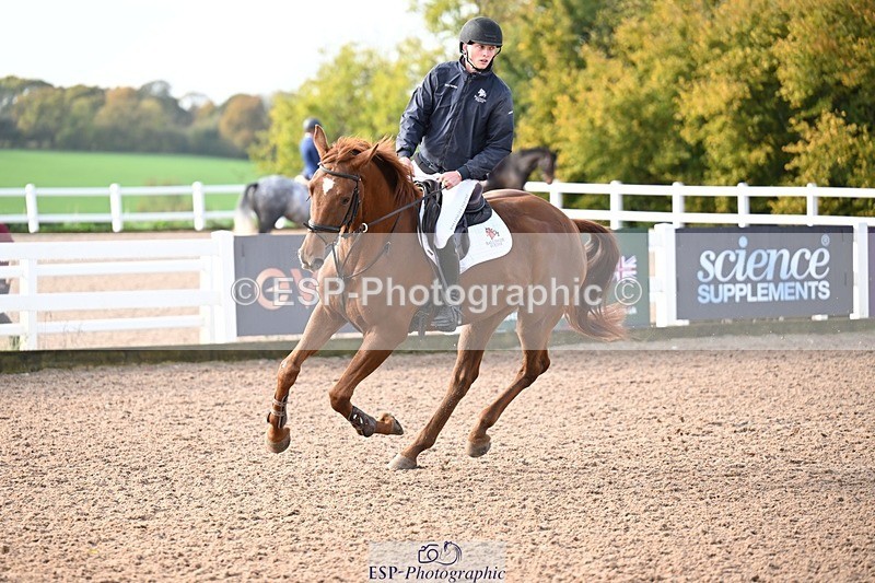 251022-104430-00121 - Clear Round & Cls 1 Brit Nov 90cm