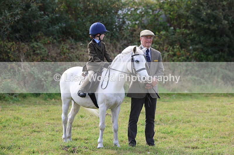 3E7A3753 - Class 2: Lead rein