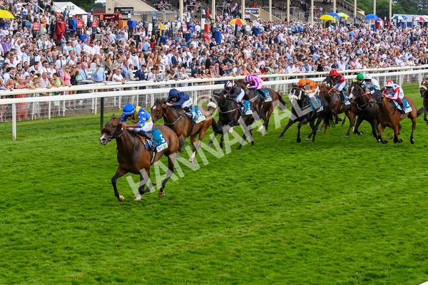 170623-Race 7-The Green Man-1009 - Race 7 5.25pm Clean Up With PPS Handicap