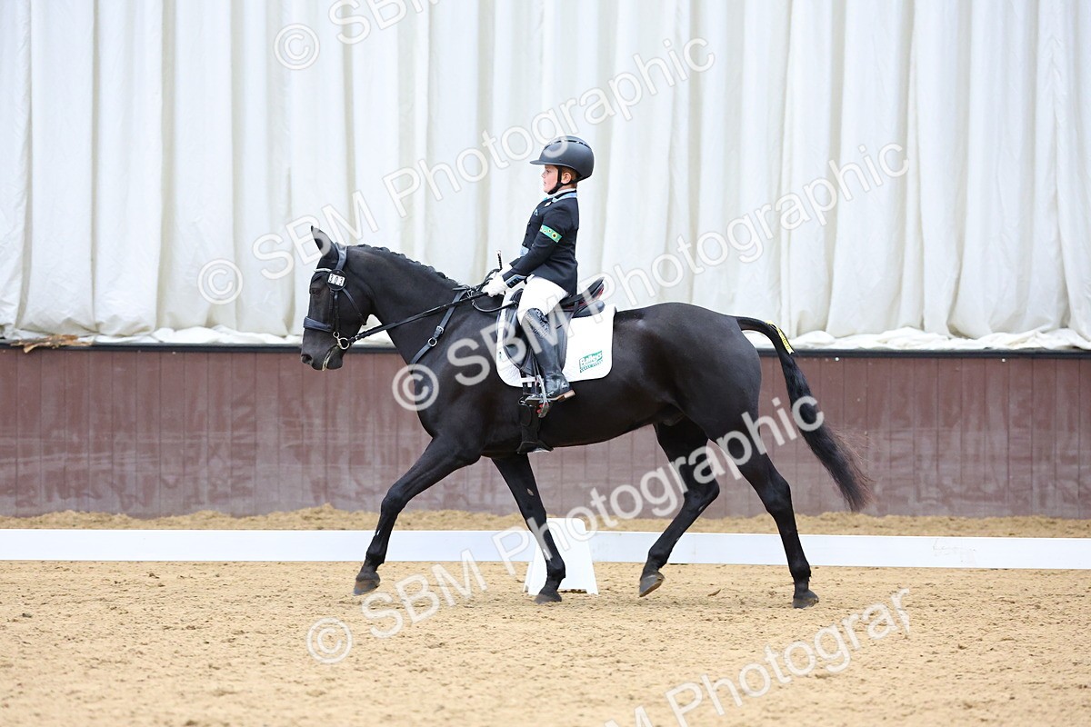SBM_002430 - Novice 2