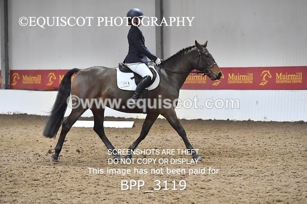 BPP_3119 - INTRO TEST 3