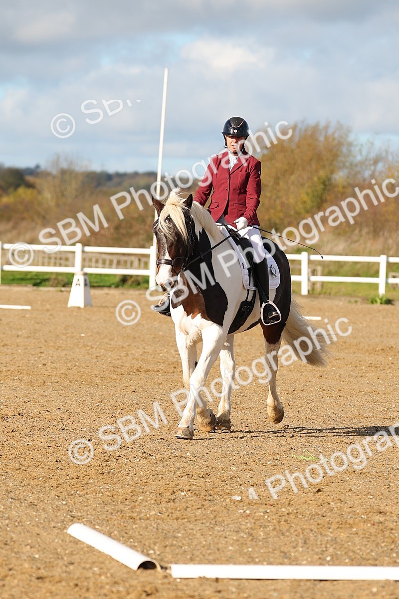 SBM_000580 - Novice 4