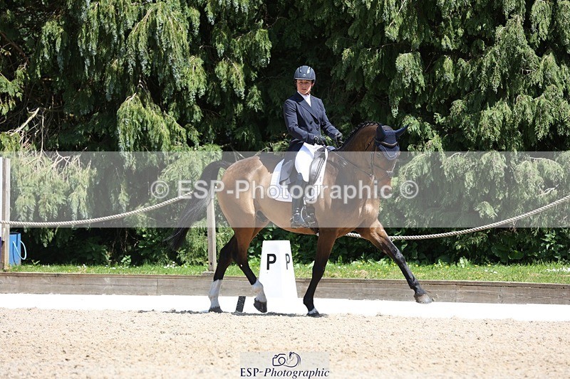 230526-135333-06412 - 369-GIDO_G-Sally_Chamberlain-WEDTrotUp+DR