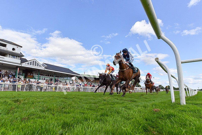 060824-Race 6-Golden Prosperity-2 - Race 6
