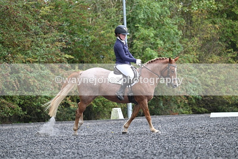 WJ7_3753 - Time 11:04 to 11:38