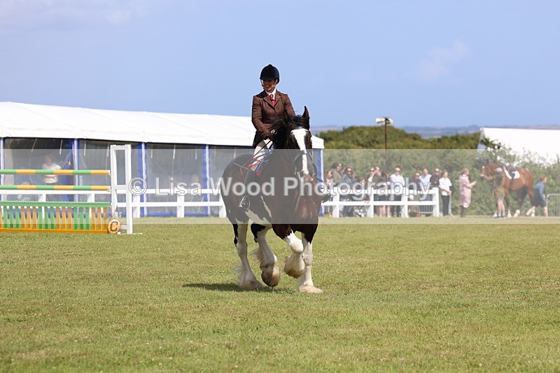 3E7A2881 - Class 13: Heavy Horse Ridden