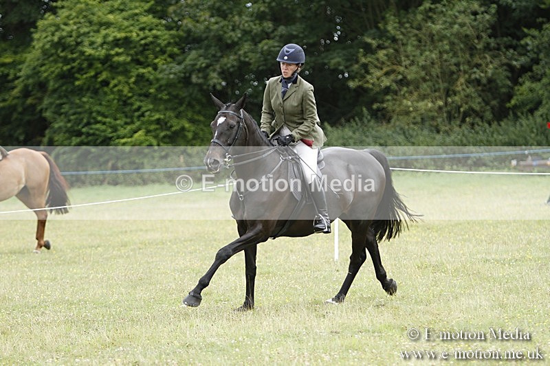 BVR160717-2193 - Ring 3 BVRC Show 16/07/17