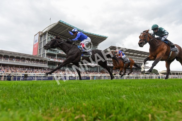 230823-Race 4-Mostahdaf-1000 - Race 4 3.35pm Juddmonte International Stakes