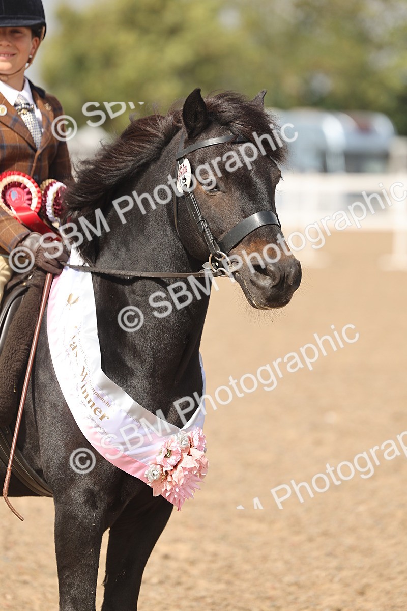 SBM_15923 - Class 310 - First Ridden Pony
