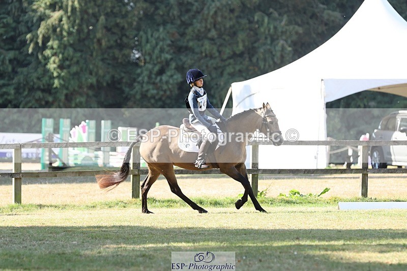 250823A-100940-26978 - Arena C